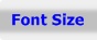 Font Size